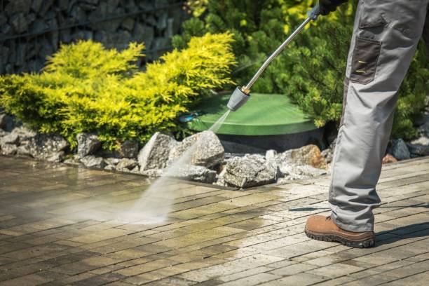 Best Spring Cleaning  in Blooming Prairie, MN