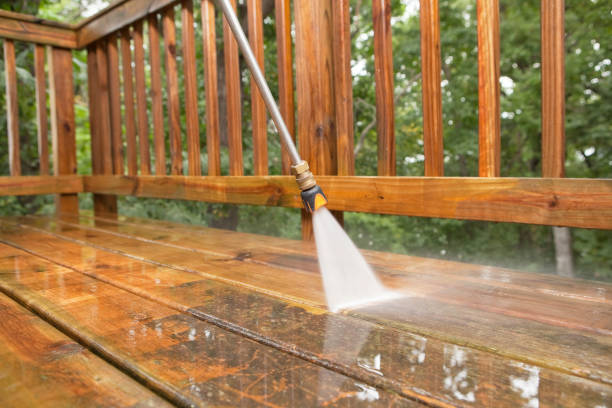 Best Solar Panel Cleaning  in Blooming Prairie, MN