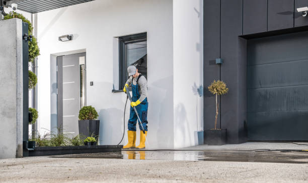 Best Paint Preparation  in Blooming Prairie, MN